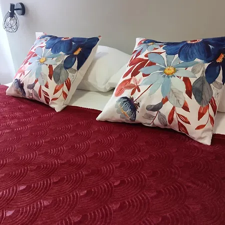 招待所 Ria View 阿威罗