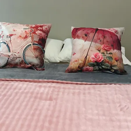 Ria View Affittacamere Aveiro