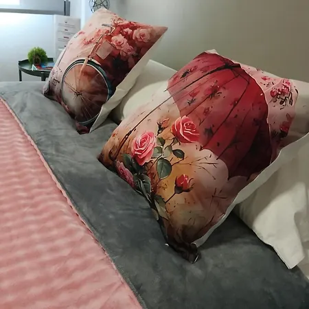 招待所 Ria View 阿威罗