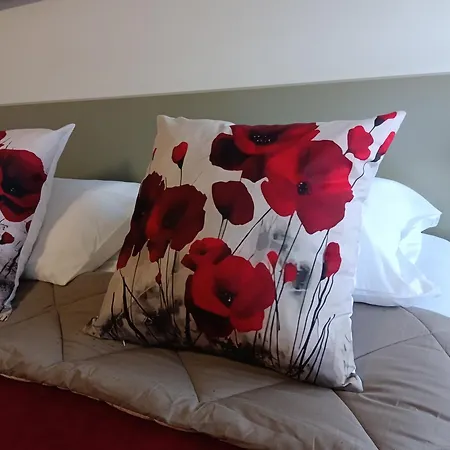 Ria View Guest house