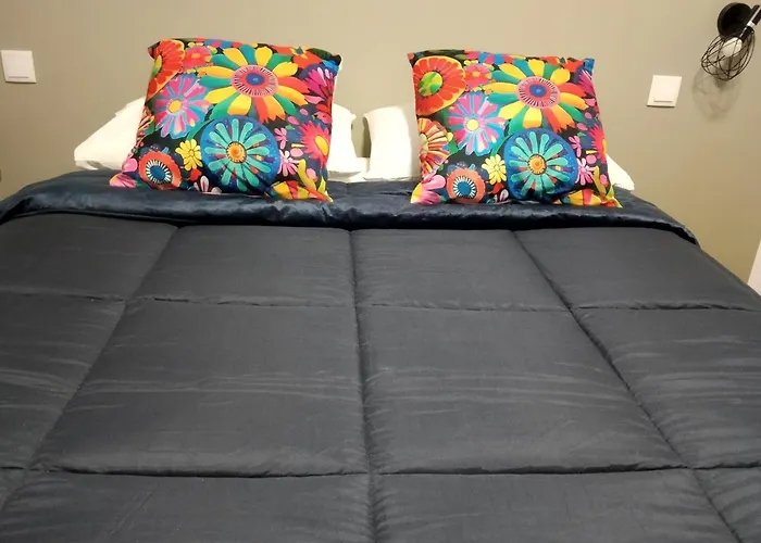 Ria View Affittacamere Aveiro