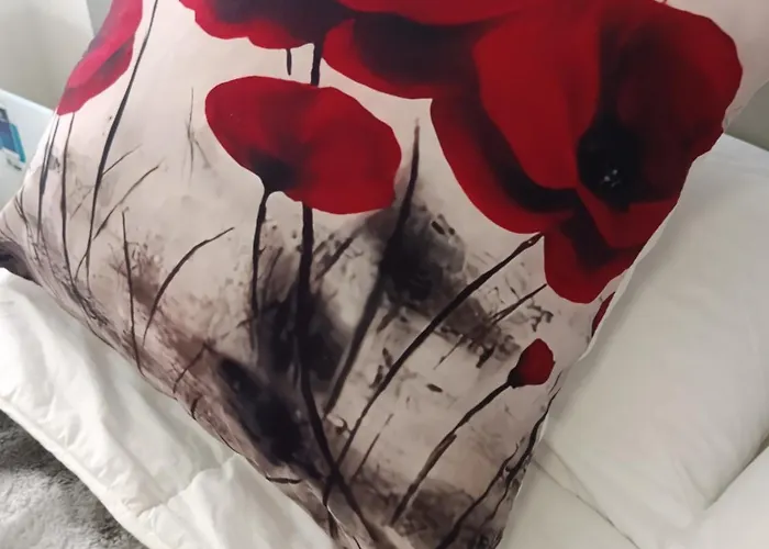 Guest house Ria View 3*