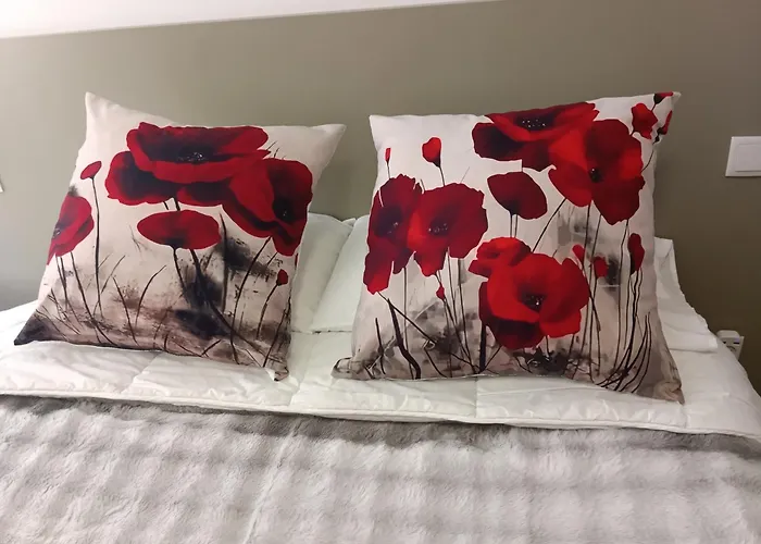 Ria View Affittacamere Aveiro